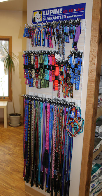 Lupine Collars at Phillips Vet Clinic! Guaranteed for life, even if chewed!