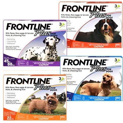 Frontline Plus for Dogs and Cats