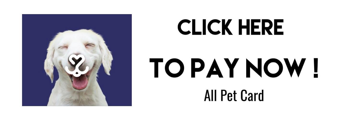 All Pet Card