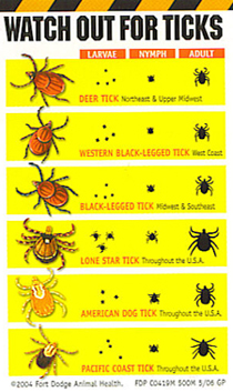 Prevent tick diseases with the Lyme Vaccine and Tick Preventatives!